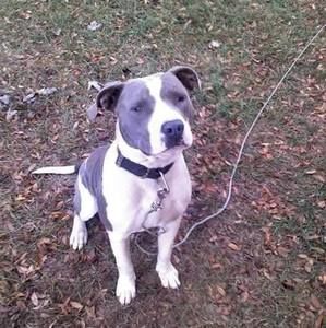 Meet your Posher, Cecil